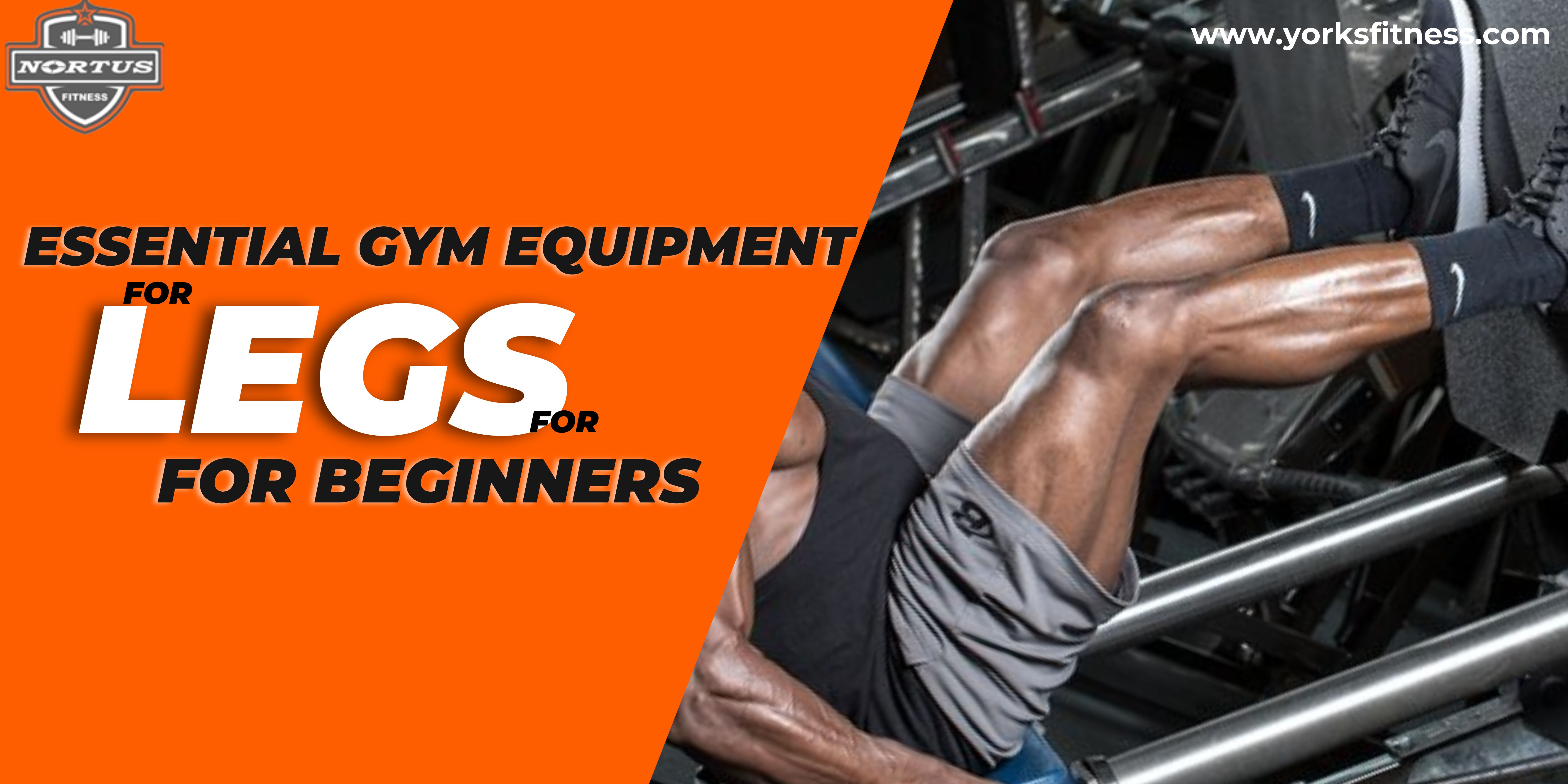 Top Gym Equipment for Legs for Beginners